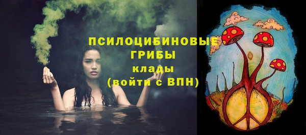молекула духа Алексеевка