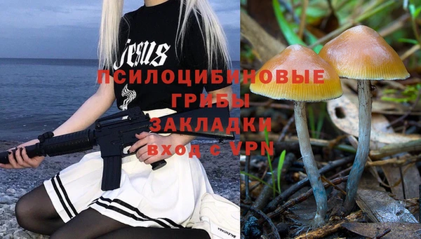 ГАЛЛЮЦИНОГЕННЫЕ ГРИБЫ Алзамай