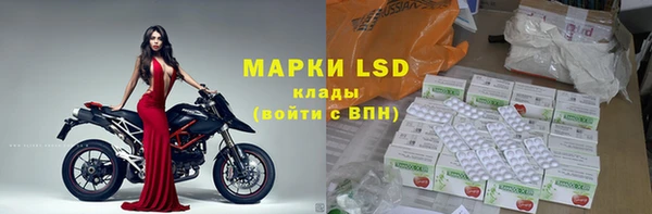 ГАЛЛЮЦИНОГЕННЫЕ ГРИБЫ Алзамай