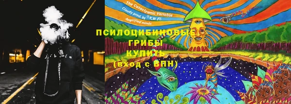 ГАЛЛЮЦИНОГЕННЫЕ ГРИБЫ Алзамай
