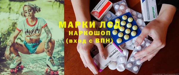 ГАЛЛЮЦИНОГЕННЫЕ ГРИБЫ Алзамай