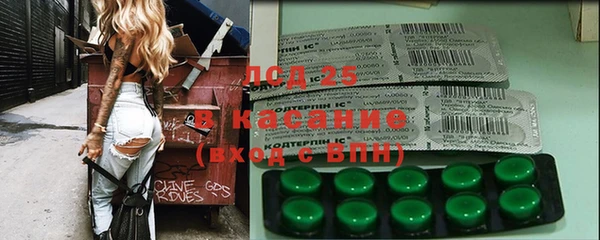 ГАЛЛЮЦИНОГЕННЫЕ ГРИБЫ Алзамай