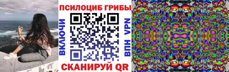 закладки  Асино  Псилоцибиновые грибы прущие грибы 